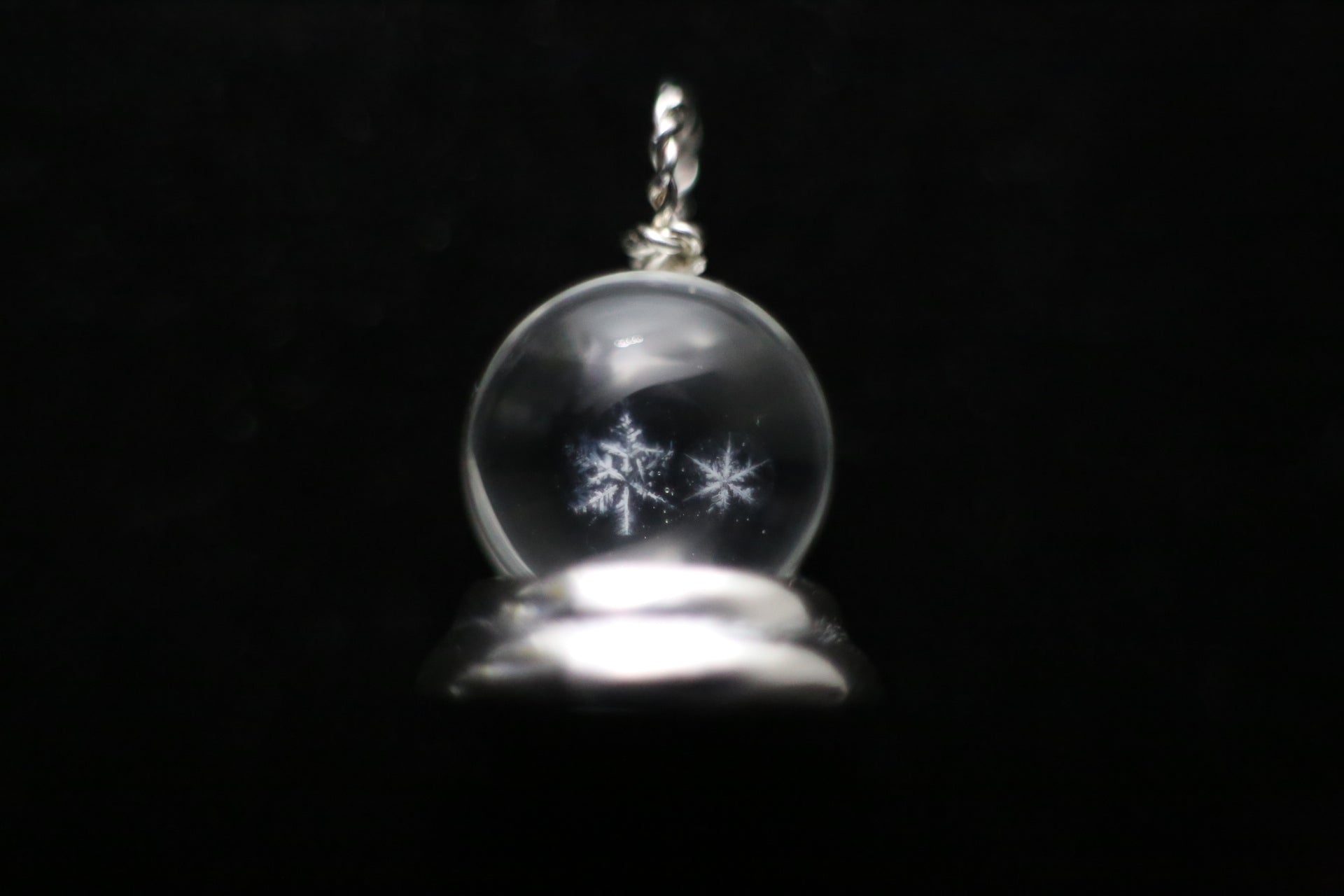 Preserved deals snowflake pendant