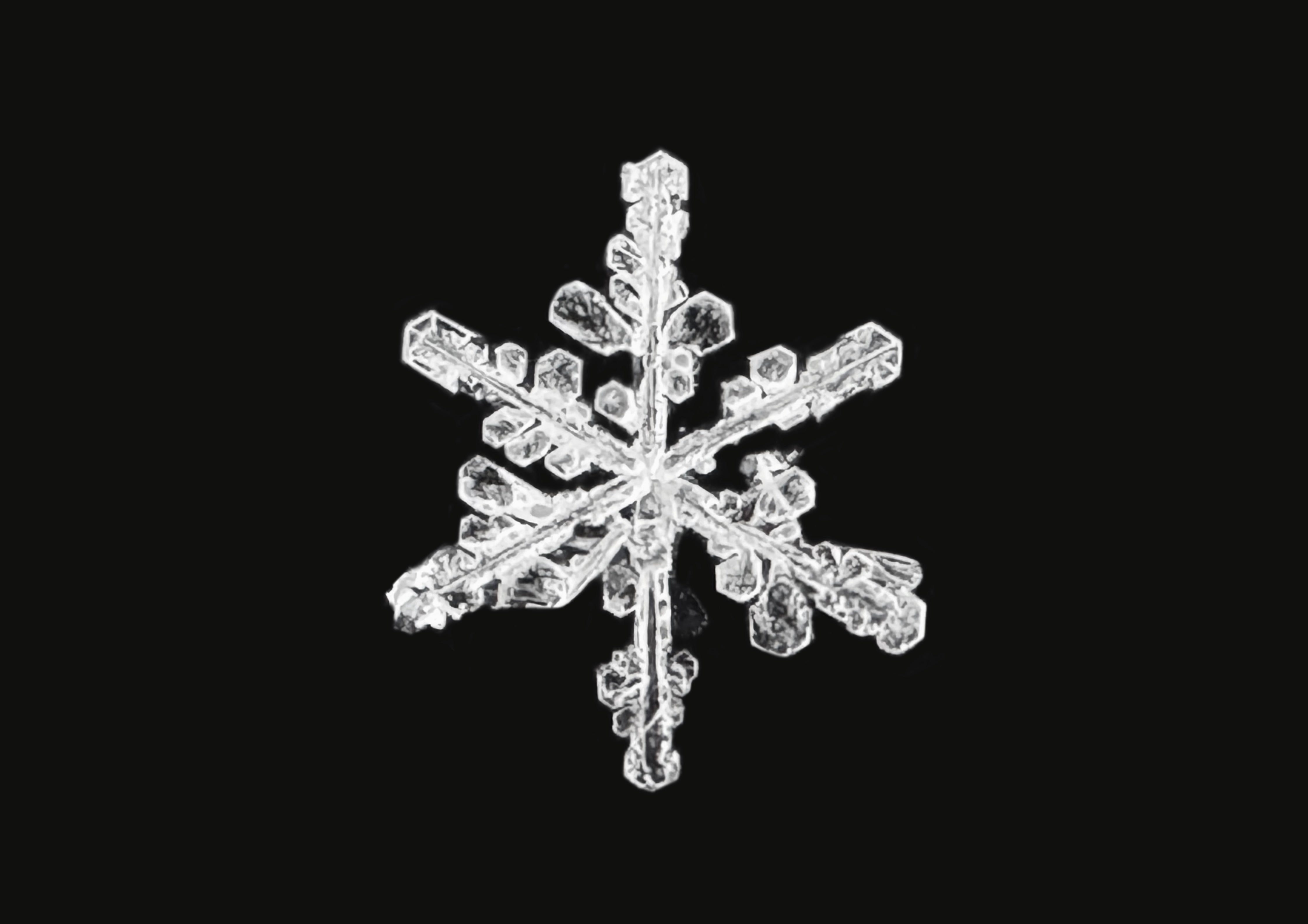 Snowflake with classic angular shape 6.9mm, Real Snowflake Necklace ...